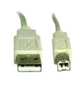 USB2.0 A公-B公 3米 貝吉色